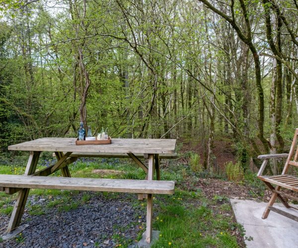Potter's Wheel Private Rear Garden / Woodland