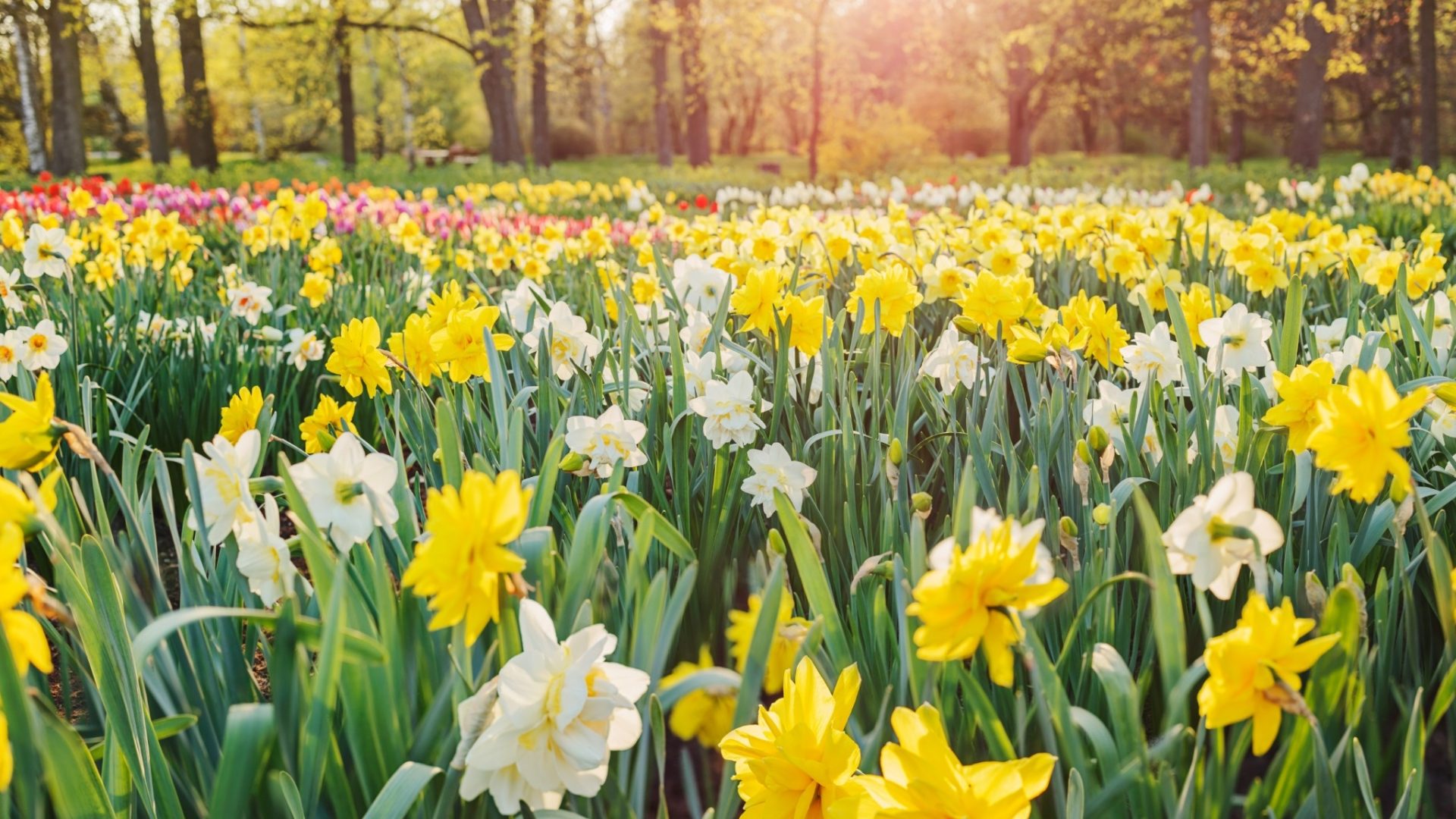 Lake District Holiday Cottages Easter