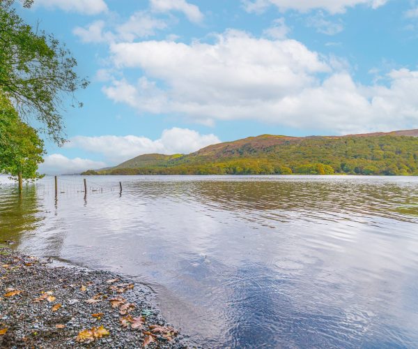 Potter's Wheel - Lake Access