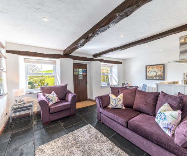 Mill Cottage - Lounge